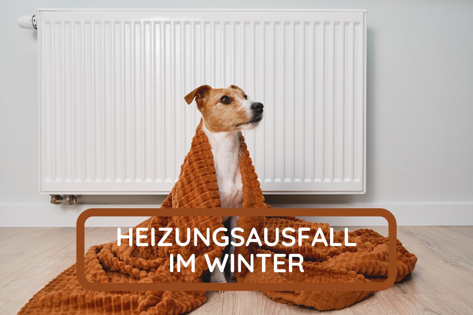 Heizungsausfall im Winter was tun
